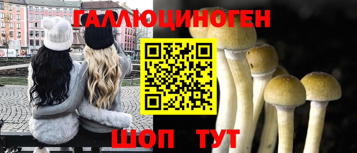 Балашиха  Псилоцибиновые грибы ЛСД  закладка  Вход с VPN 